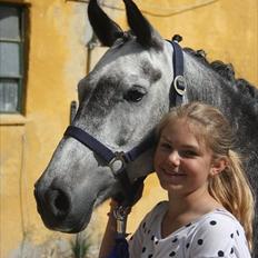 Anden særlig race Caroline!