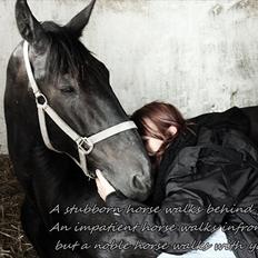 Anden særlig race Donhill  ( x-Part :'( )