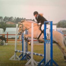 Fjordhest Solhøjgården´s Frej <3