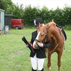 DSP Stald Blymes Pride