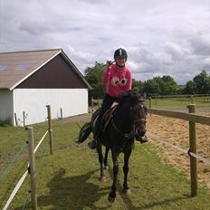 New Forest JOLIE