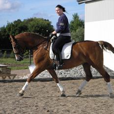 Frederiksborg Kirkebakkens Amalie Rex