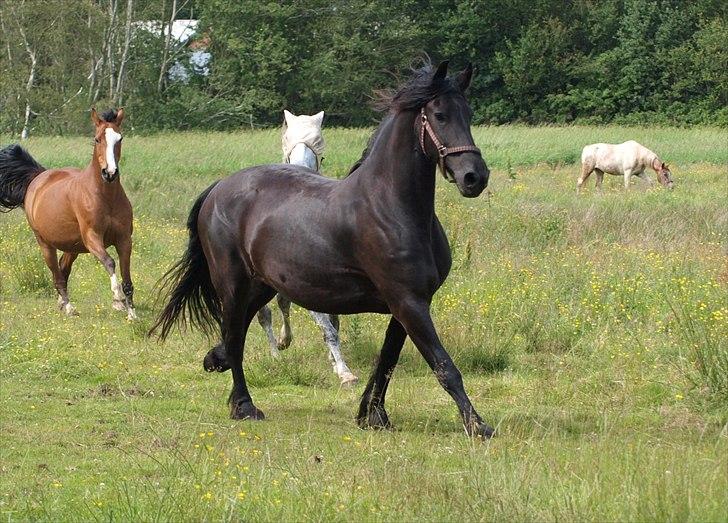 Frieser Maartje S billede 16