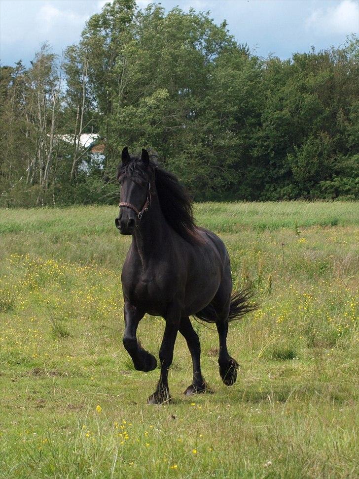 Frieser Maartje S billede 18