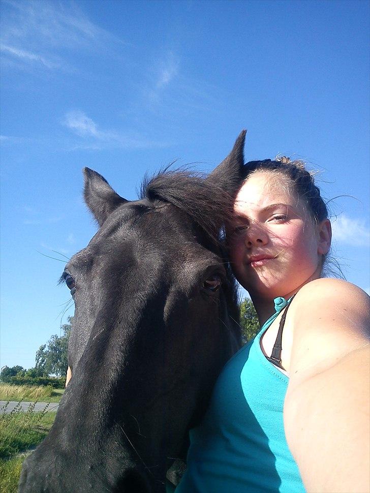 Anden særlig race Dixie billede 5