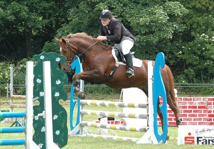 Anden særlig race Contesses Babe *>Rider<3! - min første spring Klasse på Babsen!<3 billede 2