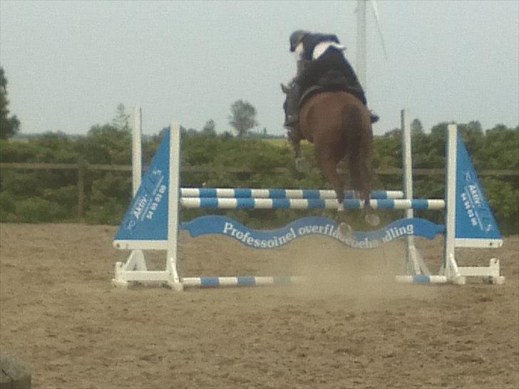 Hollandsk Varmblod WERONICA - første gang jeg sprang bane på putten. lb højde. sindsygt så højt hun hopper op over :0 STJERNE <3 love you <3 ! billede 2