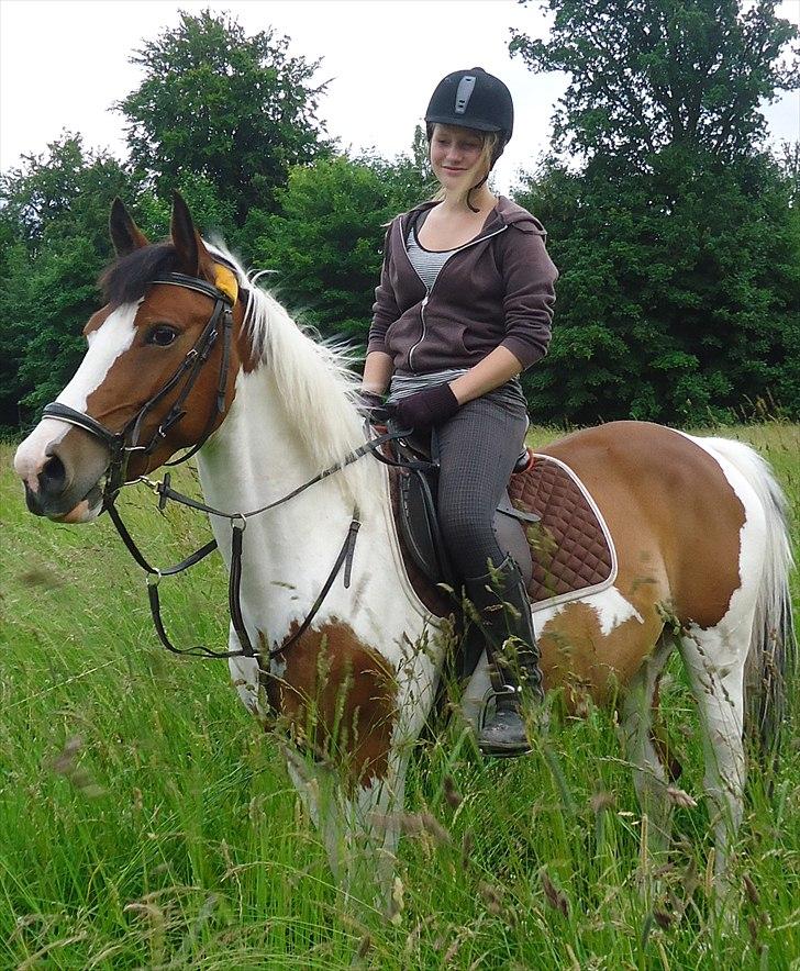 Pinto Zynergy <3 (Baby) - Dejligt billede <3 billede 4
