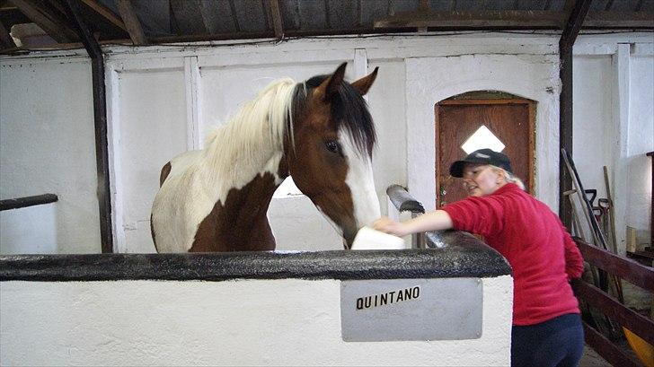 Pinto Quintano billede 9