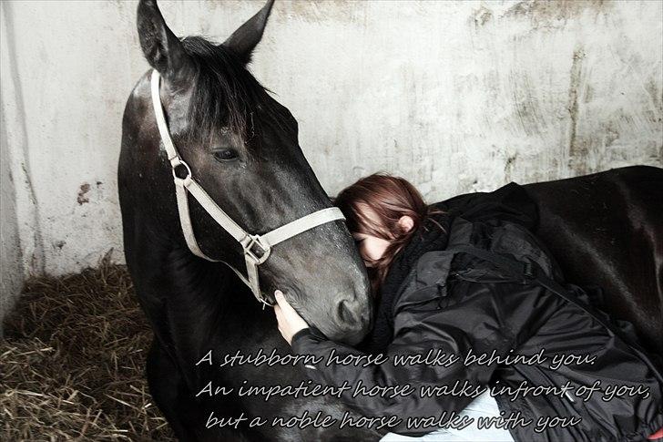 Anden særlig race Donhill  ( x-Part :'( ) - GENSYN MED DUNSE! taget d. 21-06-2011. Han kunne kende mig :') dejligt at se ham igen! [ foto: Laura ] billede 2