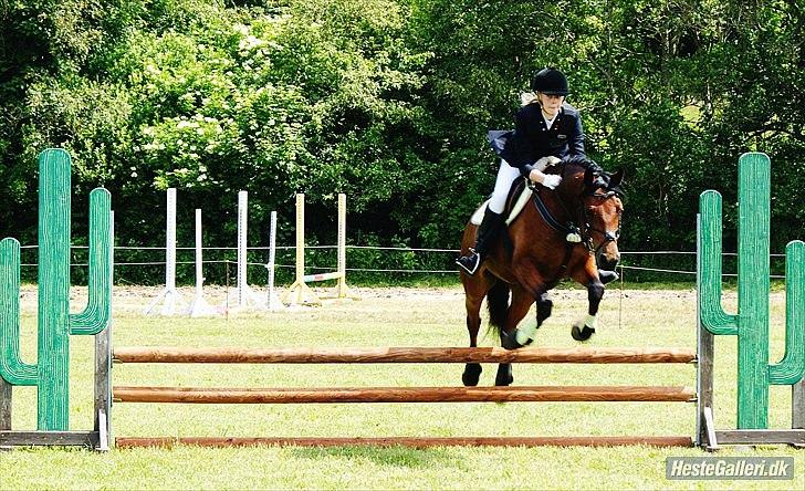 Connemara Maskenkol's Rebelix - Rebelix og mig til stævne i Hyllebjerg:D  billede 18