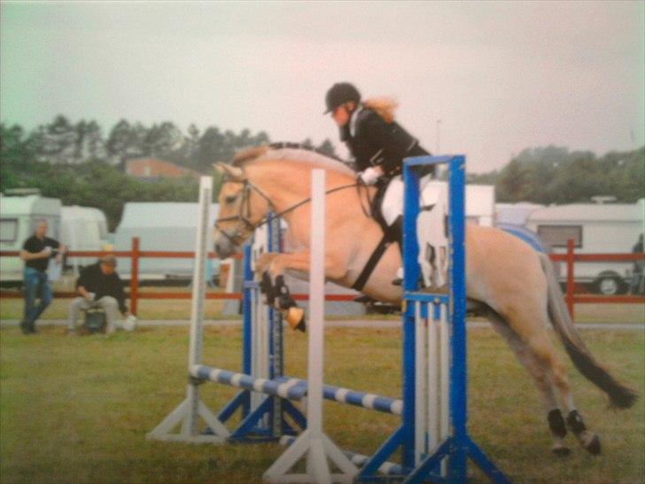 Fjordhest Solhøjgården´s Frej <3 - Ponyugen Hammerum 2010 billede 2