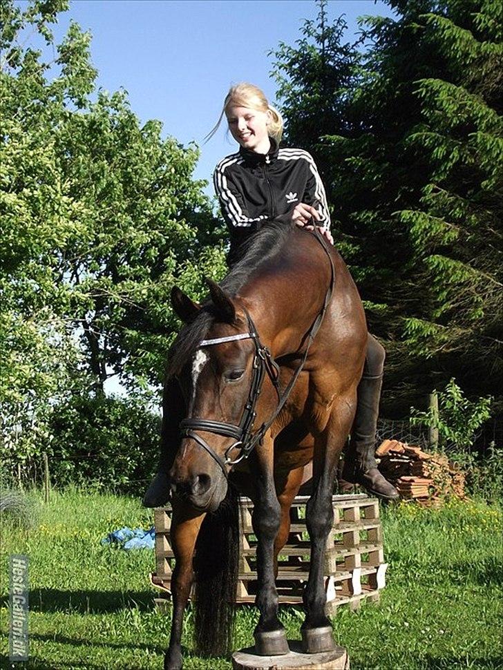 DSP Sa lee - Første gang SaLee stod på træstub med en på<3 

Foto: Veninde/Eliane
Juni-2011 billede 13