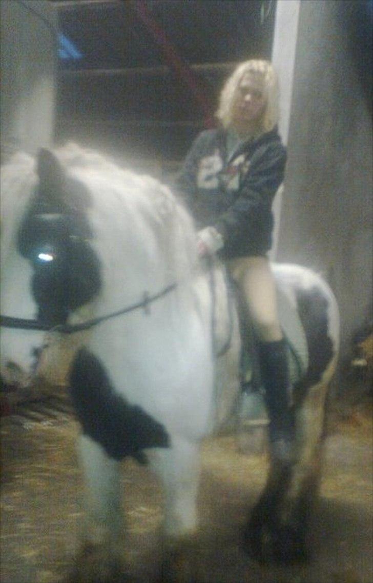 Tinker Oenghus Of Ireland (Rider) - vinter 2010 billede 17