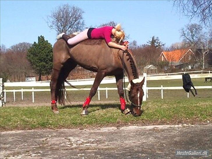 Traver Rabiega Rouge *Savnet* - Vi hygger lidt:)
 billede 3