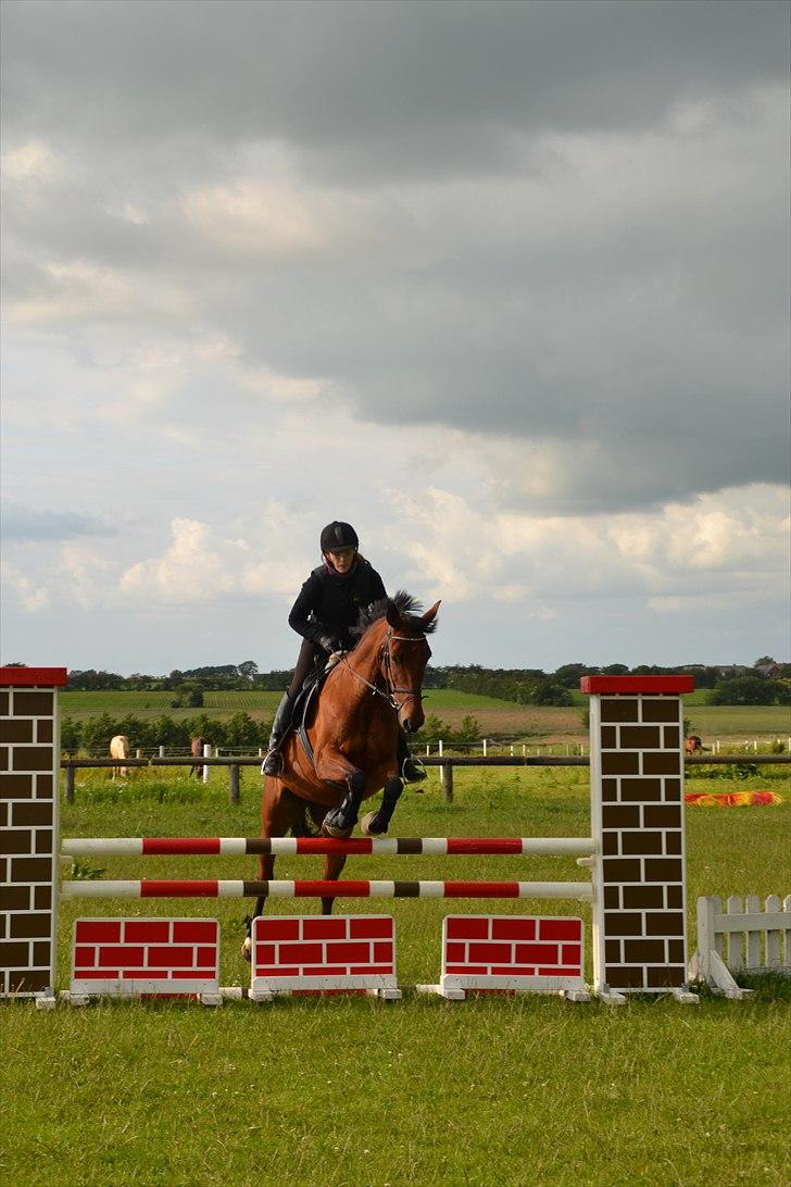 Anden særlig race Ronja  billede 14
