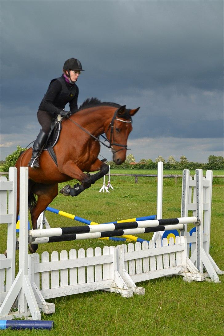 Anden særlig race Ronja  billede 15