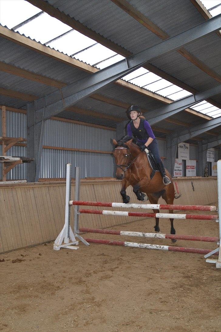 Anden særlig race Ronja  billede 17