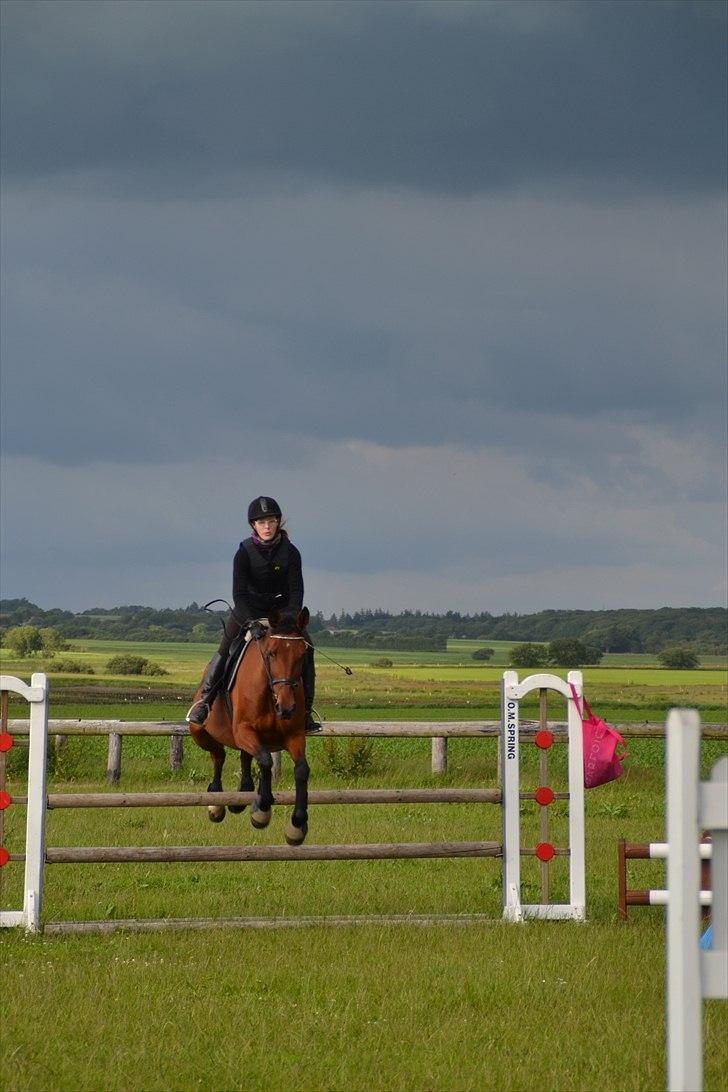 Anden særlig race Ronja  billede 18