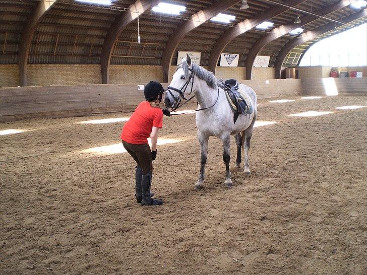 Anden særlig race Cirkeline *Tøsen/Cikke* *Elevpony* (Har redet) - Kys til den smukke tøs. Tak for turen<3  billede 3