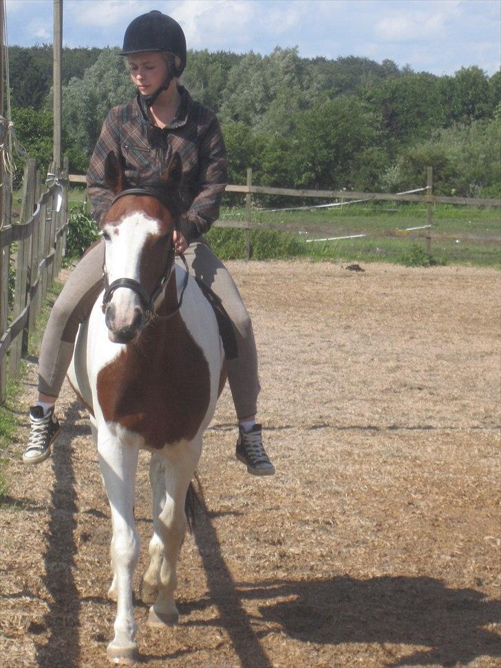 Anden særlig race Bess billede 3