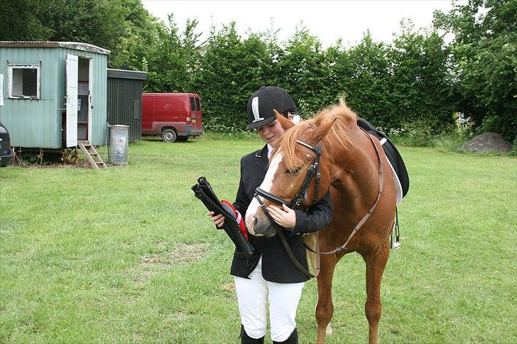 DSP Stald Blymes Pride billede 3