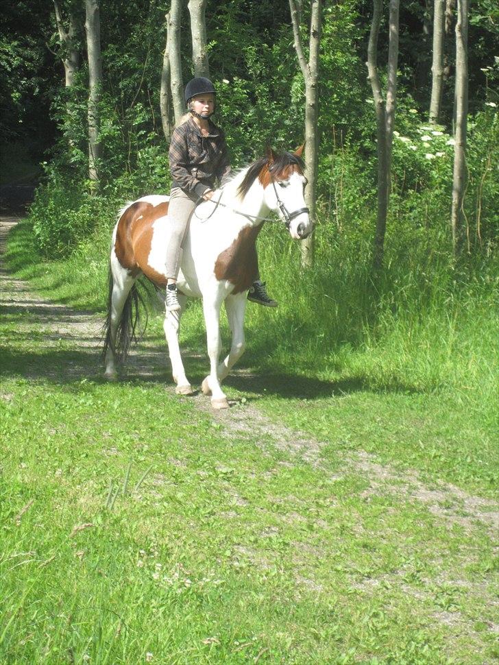 Anden særlig race Bess - Lille tur i mosen :) billede 8