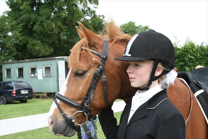 DSP Stald Blymes Pride billede 6