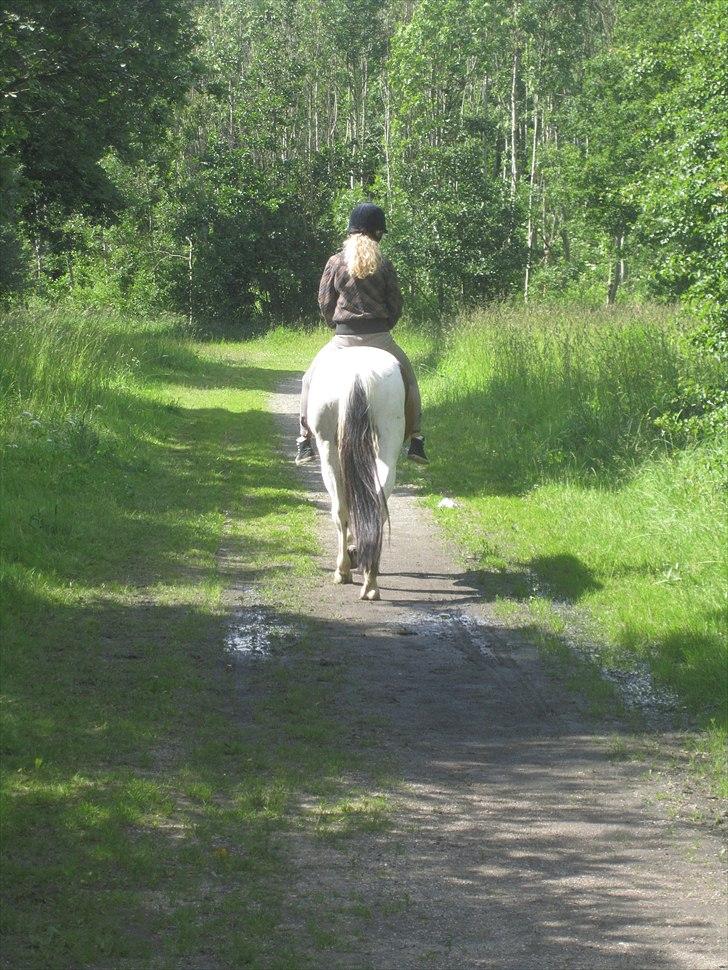Anden særlig race Bess - Vi rider videre... ;) billede 15