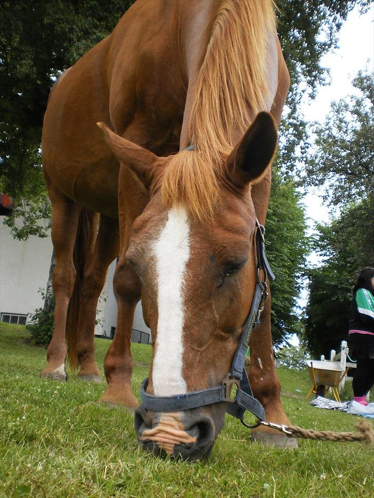 Anden særlig race Florina - rynkemuller :D <3 billede 18