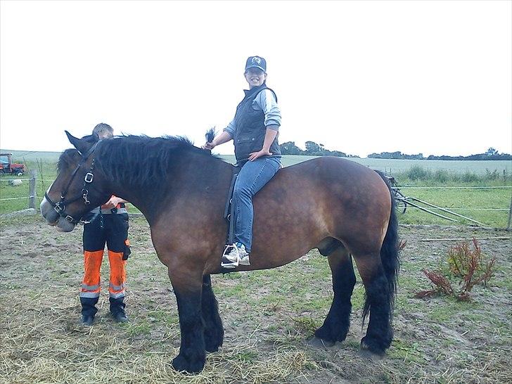 Anden særlig race rollo hansen - smukt par billede 10