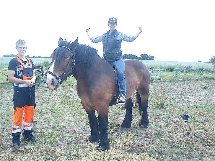 Anden særlig race rollo hansen billede 11