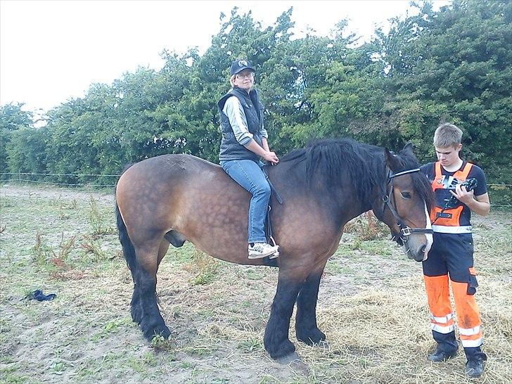 Anden særlig race rollo hansen billede 12