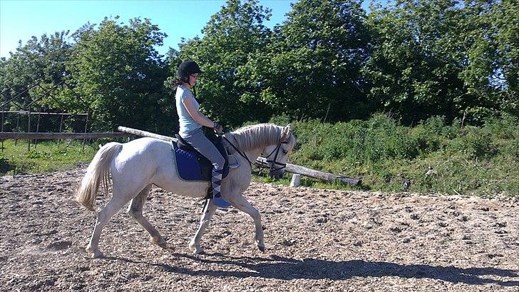 Anden særlig race Yasmin!<3  - Hun går selv ned ;) (foto: Lea) billede 2