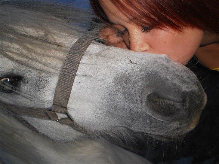 Welsh Pony (sec B) Josepigen`s Lotte - Lotte og jeg. 23/6 2011. billede 12