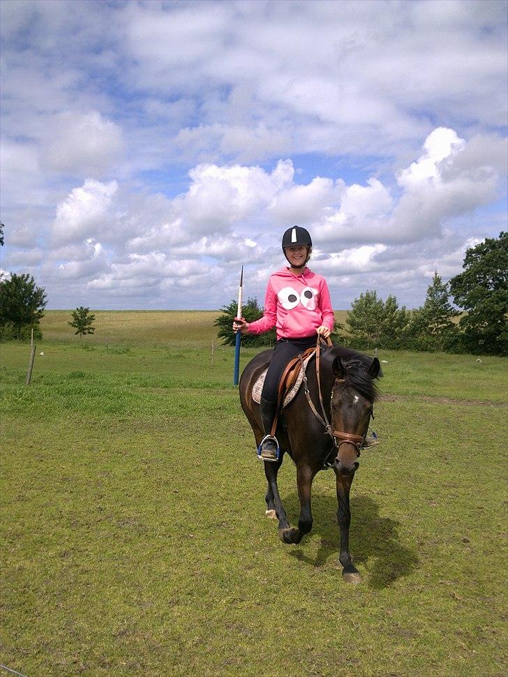 New Forest JOLIE billede 5