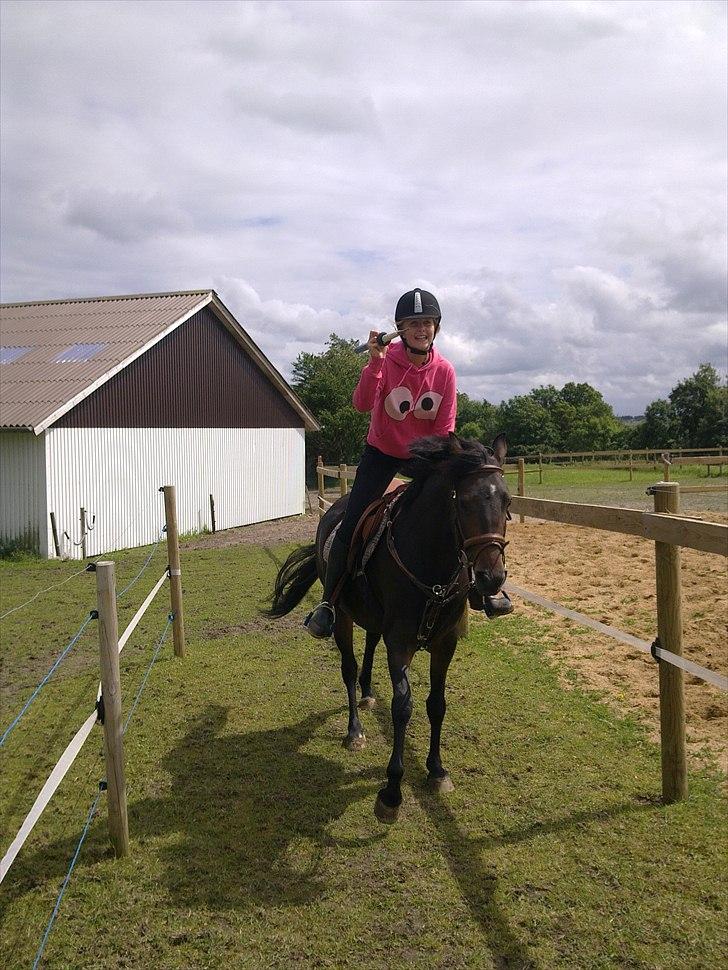 New Forest JOLIE billede 3