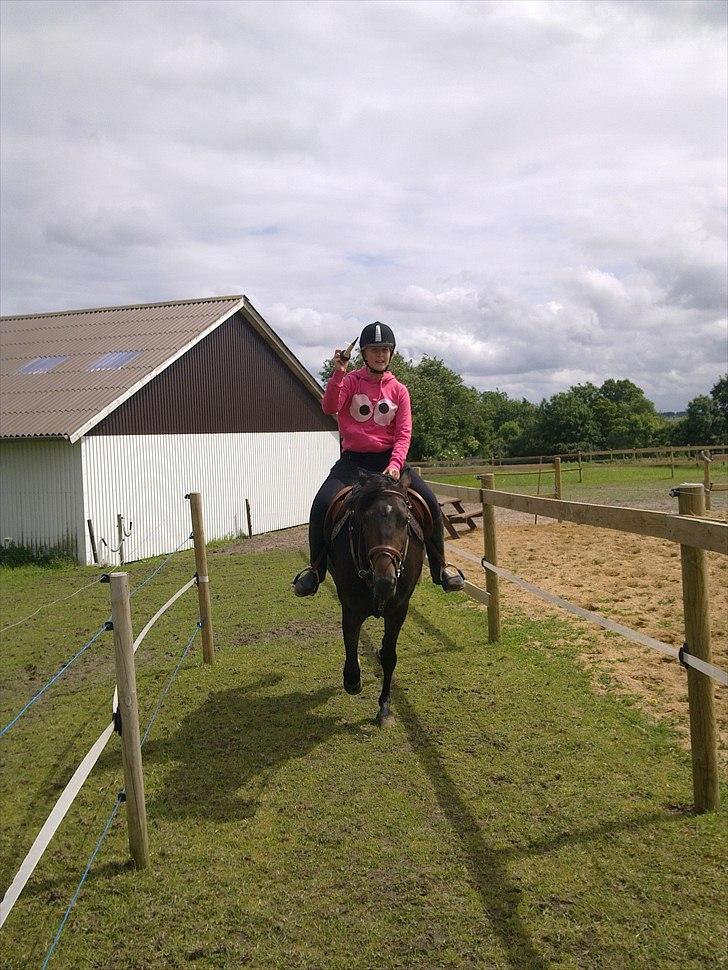 New Forest JOLIE billede 4