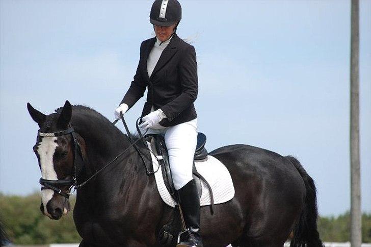 Oldenborg FanFan - Jubilæums stævne på Landlyst billede 3