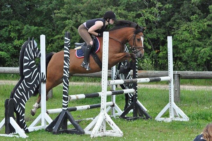 New Forest VESTERGAARDS KICK AND RUN - Springundervisning den 21. juni 2011<3 Foto: Michelle Jensen billede 16