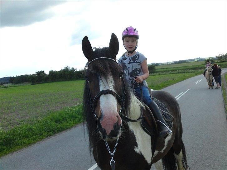 Tinker Anton *AVL`S HINGST* - Min 6årig datter rider Anton på tur... Det gik rigtig godt... ;)  12-6-2011 billede 20