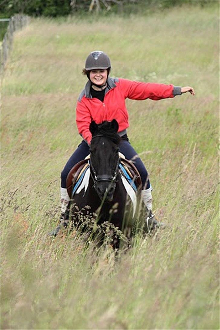 Anden særlig race Cavallo - Hm.. ikke det bedste billede af mig, men det bedste af ham <3! Fuld fart over marken! (Sommer 2011 - Foto: Emma) billede 9