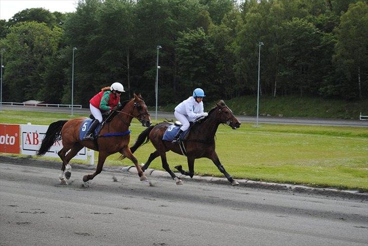 Traver jonte streamline (s) billede 14