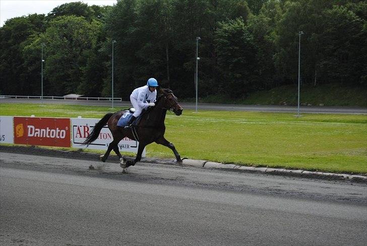 Traver jonte streamline (s) billede 15