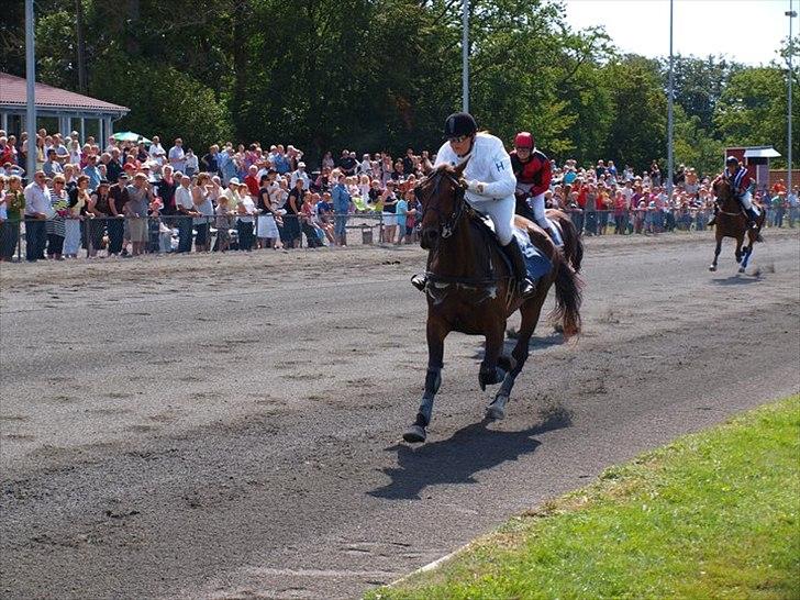 Traver jonte streamline (s) - Sejr med Kristina Hansen. billede 16
