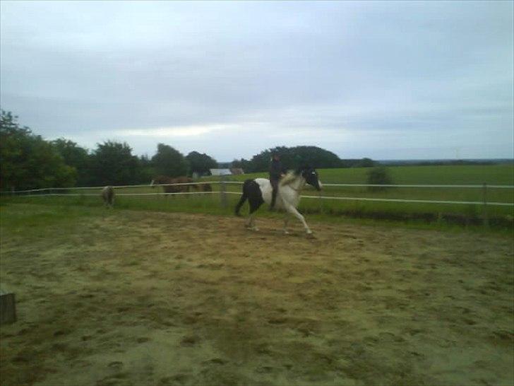 Paint Dixie billede 15