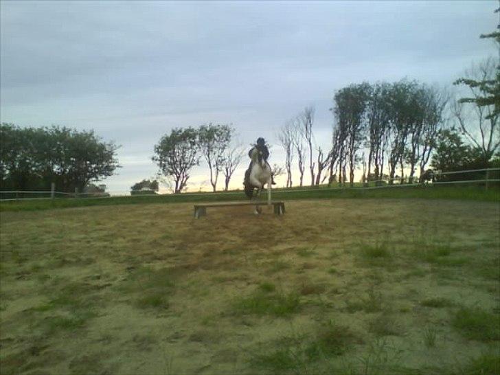 Paint Dixie billede 16