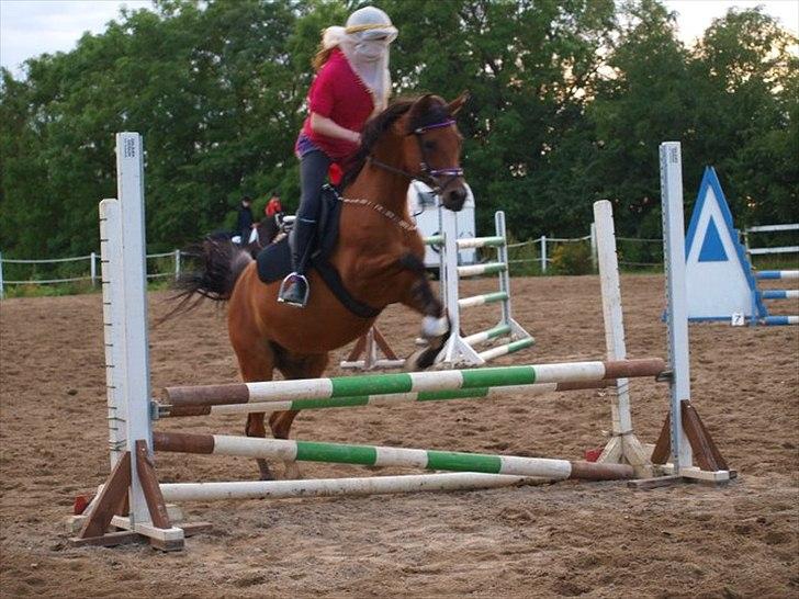 Arabisk fuldblod (OX) WAFEEQ OX - min gravide vallak;P<3
farvel og tak fordi i kiggede på wafi's profil:)<3 billede 20