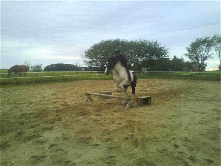 Paint Dixie billede 17