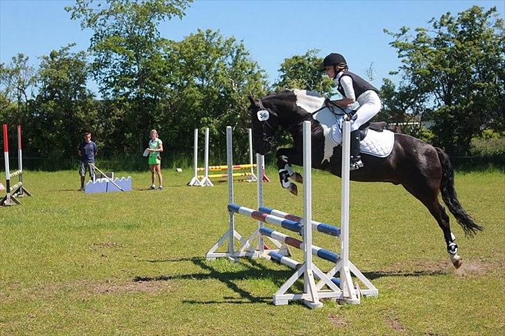 Anden særlig race Spirit ( verden største stjernepony) - det her er en lb jeg elsker dette spring 
fotograf / Emilie lyngsøe billede 2